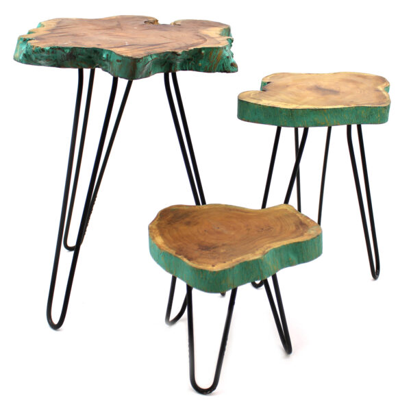 Set of 3 Gamal Wood Plant Stands - Greenwash - Image 8