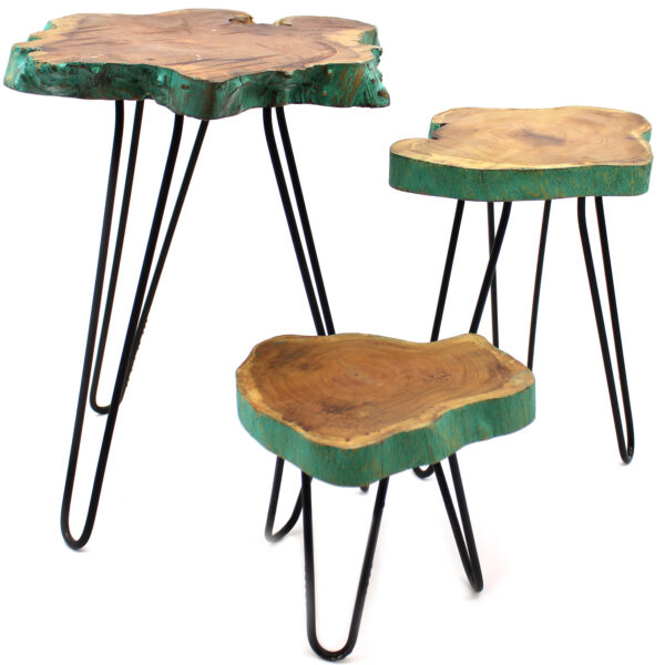 Set of 3 Gamal Wood Plant Stands - Greenwash - Image 5